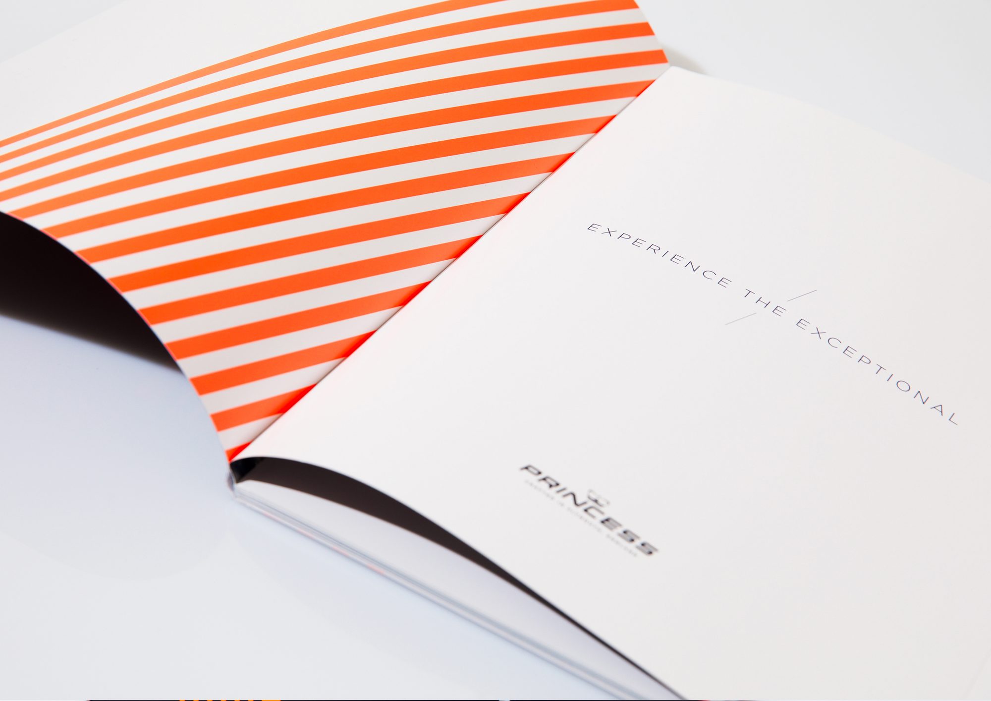 Princess Yachts Identity